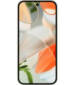 Google Pixel 9 5G Porcelain in UAE