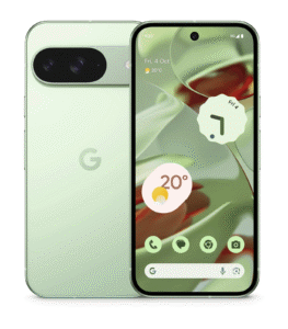 Google Pixel 9 5G Wintergreen in UAE