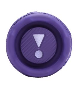 JBL Flip 7 Portable Speaker - Purple