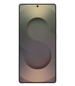 Samsung Galaxy S25 Titanium White Silver
