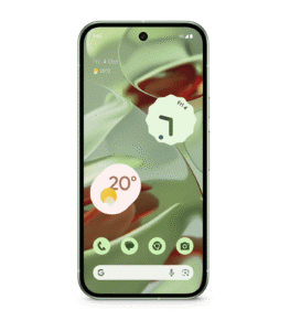 Google Pixel 9 5G Wintergreen in UAE