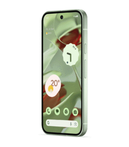 Google Pixel 9 5G Wintergreen in UAE