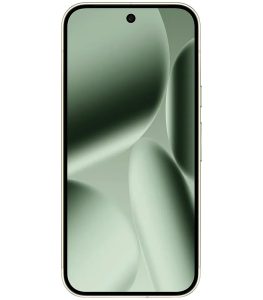 Google Pixel 10 Pro 5G Jade